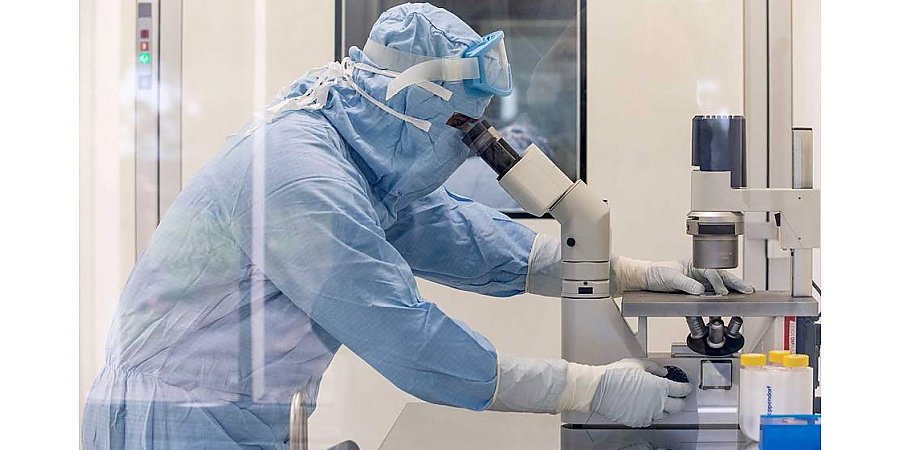 В Германии зафиксировали первую смерть от омикрон-штамма коронавируса