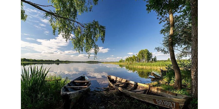 Природа, дача, рыбалка. Как проводят досуг белорусы