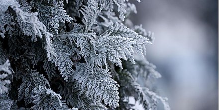 До -7°С и гололедица ожидается в Беларуси 26 ноября