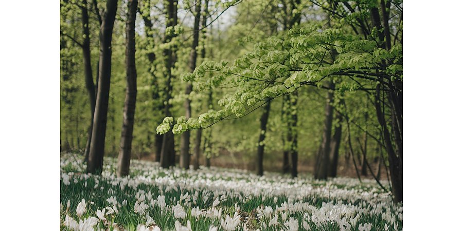 Народный календарь на 15 марта 2025: что можно и нельзя делать, приметы и праздники