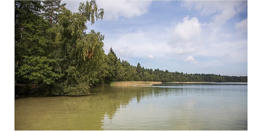 Купание в озере Свитязь запрещено