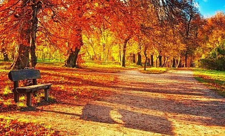 Аномально теплый октябрь в Беларуси: зафиксированы новые температурные рекорды