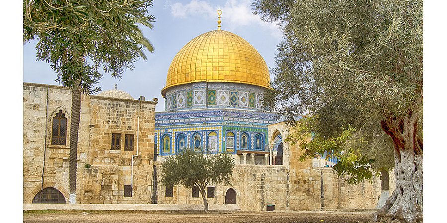 Гробницу возрастом 3,3 тыс. лет обнаружили в нацпарке Израиля