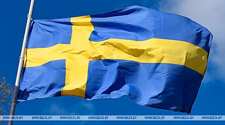 Лукашенко приветствует совместные усилия Беларуси и Швеции по расширению сотрудничества