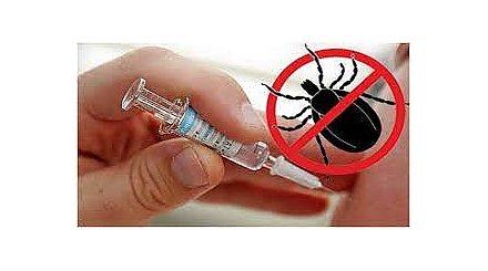 Вакцинации от клеща. Самое время 