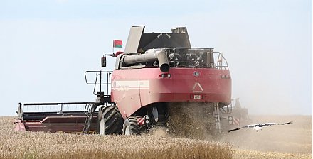 Глава Минсельхозпрода: темпы уборки зерновых ускоряются