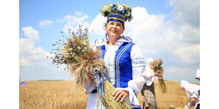 Шествие, выставки, концерты, "ТракторШОУ". Какой будет программа фестиваля "Дажынкі" в Волковыске
