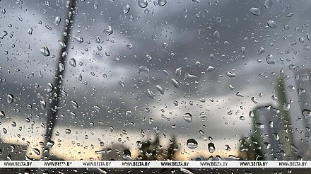 Дождливо и до +12°С будет в Беларуси 14 ноября 