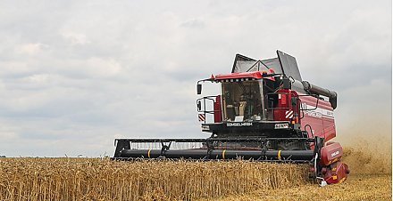 Аграрии Беларуси намолотили свыше 8,8 млн тонн зерна