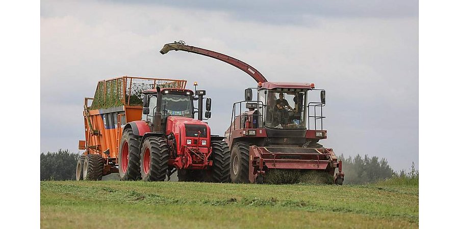 В Беларуси кормов заготовлено больше прошлогоднего