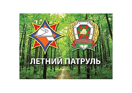 БРСМ и МЧС объявили о старте акции "Летний патруль"