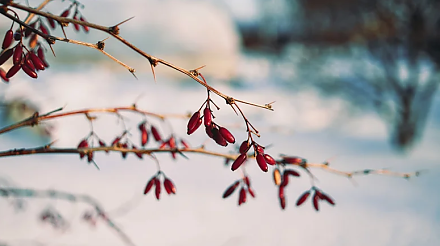 Подарите любимым подарок: народные приметы на 14 февраля