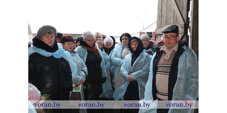 Взаимопроверка по соблюдению норм технологического регламента на молочно-товарных фермах сельхозпредприятий прошла в Вороновском районе