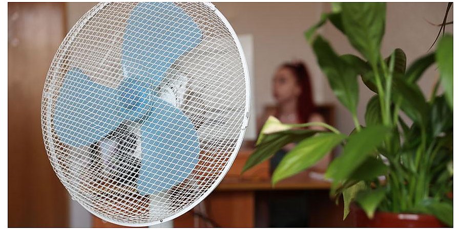 Могут ли сократить рабочую неделю в Беларуси, пояснили в Минтруда