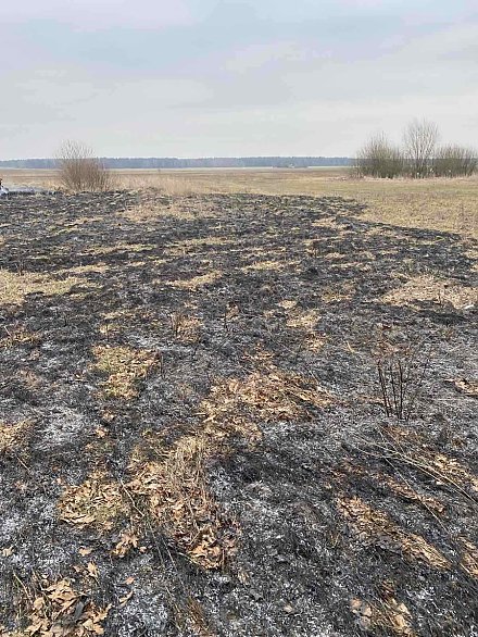 Первые палы зафиксированы в Вороновском районе