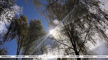 Теплый день с грозами. Какой будет погода в Беларуси сегодня
