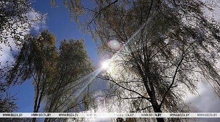 Теплый день с грозами. Какой будет погода в Беларуси сегодня