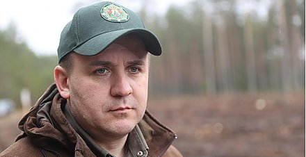 Новые леса на площади не менее 2,8 тыс. га планируют создать в Беларуси за время акции "Неделя леса"