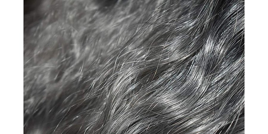 Стилист объяснил, влияет ли стресс на появление седины