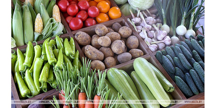 МАРТ рассчитывает исключить проблемы с поставками отечественных овощей и картофеля