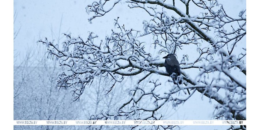 Зима вернулась? Рябов о погоде на неделю с 7 по 13 апреля