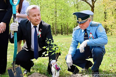 Коллекция Коложского парка пополнилась новыми сортами сирени ко Дню Победы