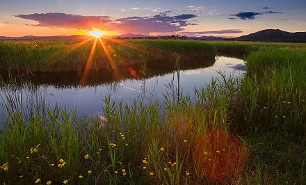 До +24°С ожидается в Беларуси 5 августа