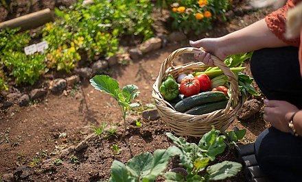 Не расслабляться, но и не перетруждаться. Как начать дачный сезон так, чтобы первый же выезд не закончился вызовом скорой помощи