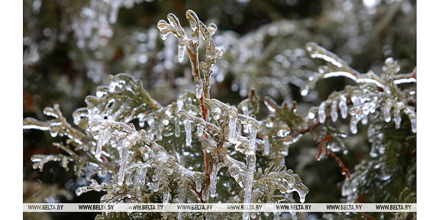 Спасатели предупредили о факторах опасности при гололеде