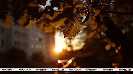 Дождливо и облачно. Какой будет погода в Беларуси сегодня