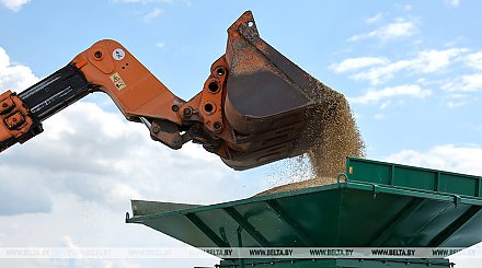 Белорусские аграрии намолотили 2 млн тонн зерна