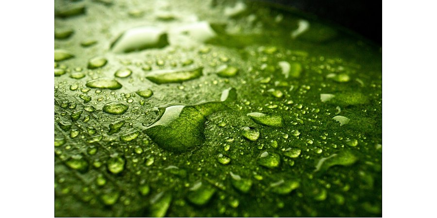 Народные приметы на 23 октября: что можно и чего нельзя делать в этот день