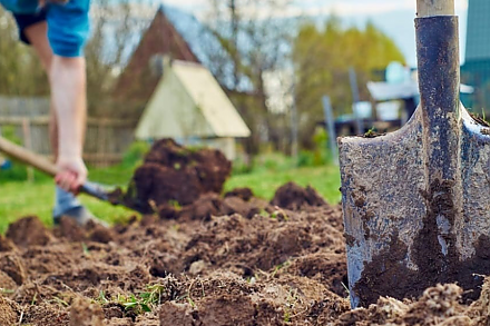 Не губите землю и будущий урожай: список подкормок, которые нельзя добавлять осенью