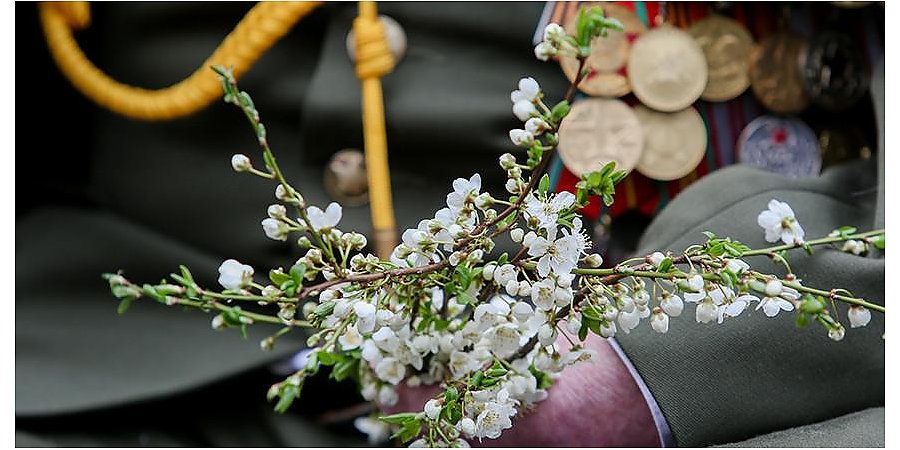 Матпомощь к 9 Мая получили уже 98,2% ветеранов и пострадавших от последствий войны