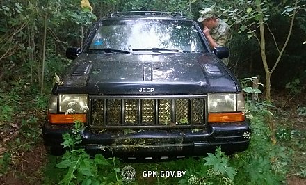 В Вороновском районе пограничники со стрельбой останавливали нарушителя