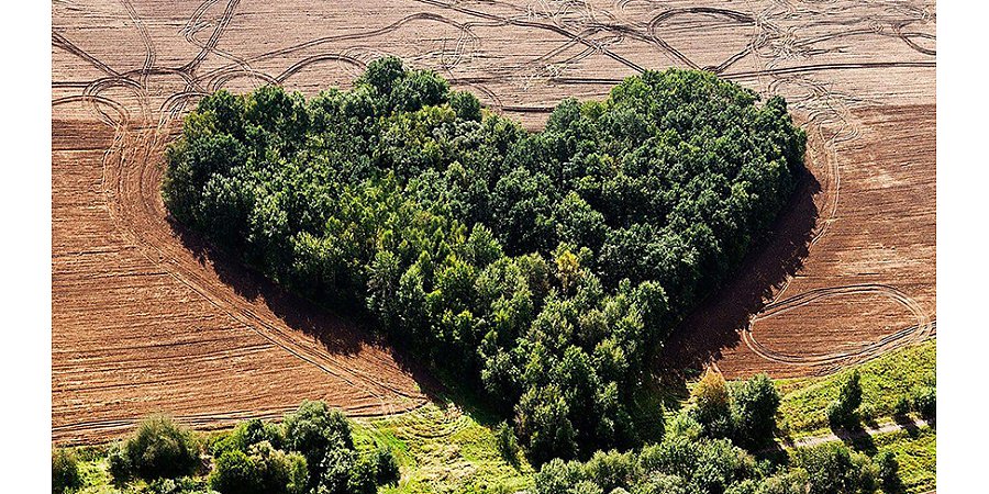 "Гродненщину с высоты птичьего полета" можно увидеть на выставке в Санкт-Петербурге