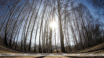 В Беларуси 26 марта пройдет экологическая акция "Час Земли"