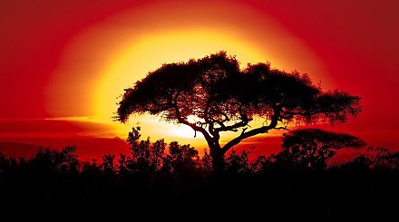 Последние три года стали самыми теплыми на Земле за всю историю метеонаблюдений