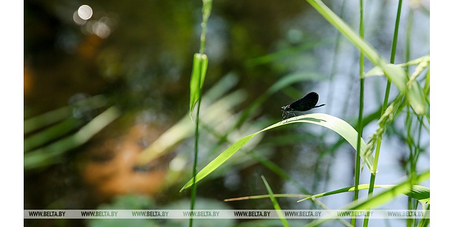 Цветовые коды погодных явлений утверждены в Беларуси