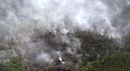 МЧС начнет космический мониторинг пожаров в экосистемах с 15 апреля