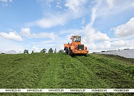 Новости