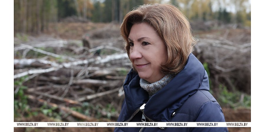 Кочанова: лесовосстановление - инвестиция в здоровье граждан и экономику страны