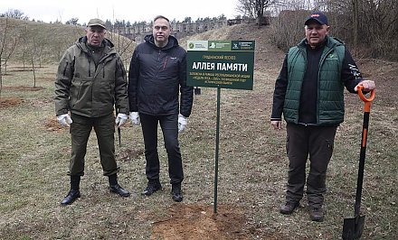 «Аллея, которую мы высадили сегодня – это дань памяти жертвам фашизма». Руководство области приняло участие в республиканской акции «Неделя леса-2022»