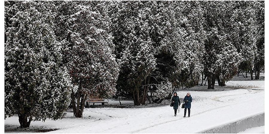 Повышение зарплат, оформление участков без аукциона. Что еще изменится с нового года