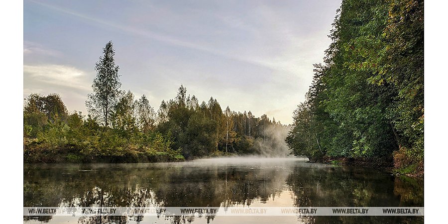 Туман и до +17°С ожидается в Беларуси 4 октября 