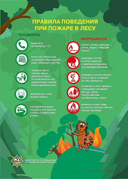 Служба 101 напоминает о пожарной безопасности в лесу