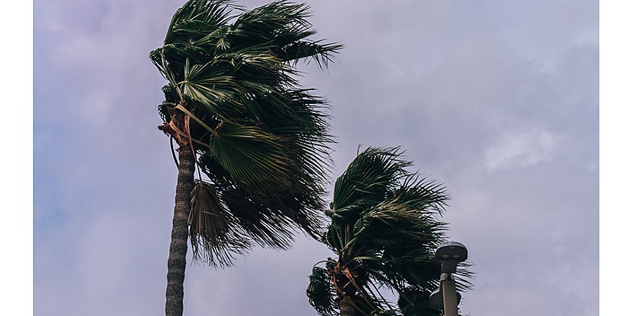 Ураган "Иэн" в США унес жизни 103 человек