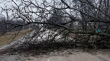 В Вороновском районе штормило и гремело не по-детски