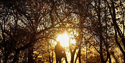 Для кого 13 мая будет нерабочим днем, пояснили в Минтруда