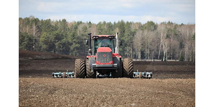 Этой весной сельхозпредприятиям предстоит посеять 159,6 тысячи тонн семян зерновых и зернобобовых культур